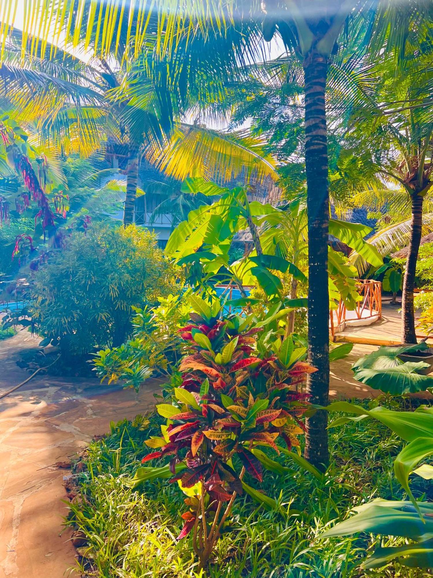 Tropical Nungwi Hotel Exterior photo
