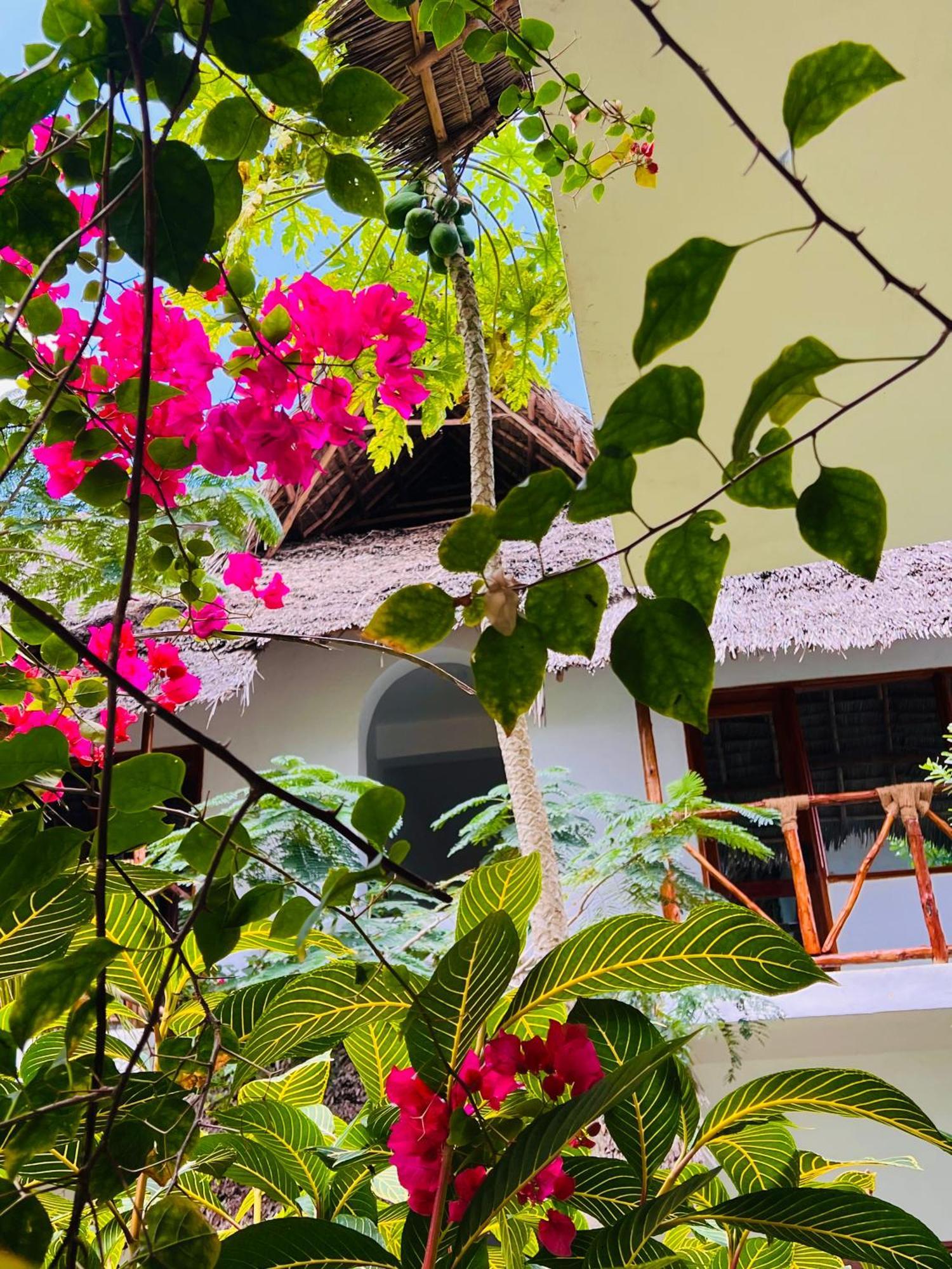 Tropical Nungwi Hotel Exterior photo