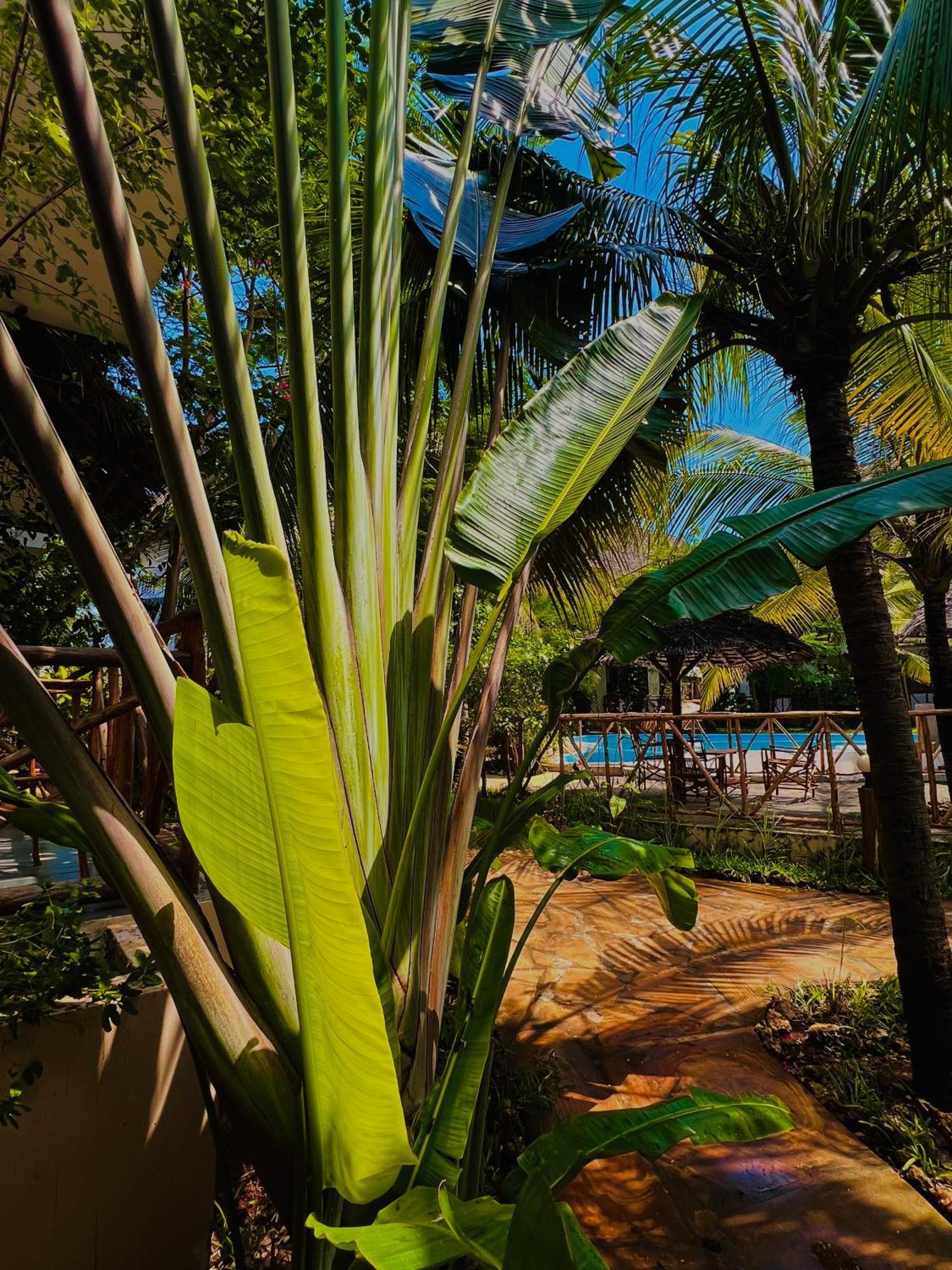 Tropical Nungwi Hotel Exterior photo